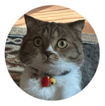 Meow Namo